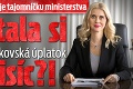 Podnikateľ obviňuje tajomníčku ministerstva: Vypýtala si smeráčka Jankovská úplatok 100-tisíc?!