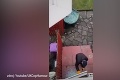 Muž nakrúcal na mobil, ako sa zlodej snaží vykradnúť jeho dom: Takéto prekvapenie nečakal!