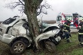 Smrteľná nehoda neďaleko Bratislavy: Vladimír († 58) s autom narazil do stromu