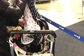Letuška ich prinútila, aby dali psa do batožiny: Dievčatku sa po 4 hodinách naskytol pohľad, z ktorého sa nevie spamätať