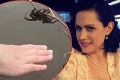 Andrea zbadala obrovského pavúka: Jej nasledujúce rozhodnutie pochopí len málokto!