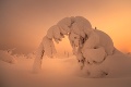 Zima vo Fínsku premenila prírodu na ľadové kráľovstvo: Čo sa skrýva pod týmto slonom?