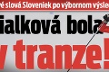 Prvé slová Sloveniek po výbornom výsledku v štafete: Fialková bola v tranze!