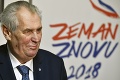 V súvislosti s voľbami v Česku bolo podaných 70 sťažností: Problémom bola Zemanova kampaň