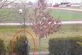 Čitateľ pristihol policajta v kurióznej situácii: Čo to tam stvára za stromom?!