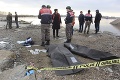 Cez rieku sa chceli preplaviť do Grécka: Prevrátil sa čln s migrantmi, zahynuli dve deti a žena