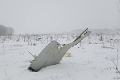 Pri leteckej tragédii zomrelo 71 ľudí: Nové informácie o stroji, ktorý sa zrútil v Rusku