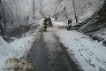 Na východnom Slovensku sa čerti ženili: Popadané stromy blokovali cesty!
