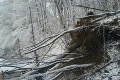 Na východnom Slovensku sa čerti ženili: Popadané stromy blokovali cesty!