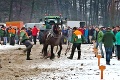 Brutálny incident na furmanských pretekoch v Hriňovej: Z tohto vám stisne srdce, chlapi surovo napadli koňa!