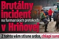 Brutálny incident na furmanských pretekoch v Hriňovej: Z tohto vám stisne srdce, chlapi surovo napadli koňa!