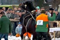 Brutálny incident na furmanských pretekoch v Hriňovej: Z tohto vám stisne srdce, chlapi surovo napadli koňa!