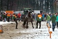 Brutálny incident na furmanských pretekoch v Hriňovej: Z tohto vám stisne srdce, chlapi surovo napadli koňa!