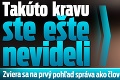 Takúto kravu ste ešte nevideli: Zviera sa na prvý pohľad správa ako človek!