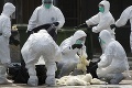 Nebezpečná vtáčia chrípka typu H7N9 vraždí obyvateľov: O život prišlo už 79 ľudí!