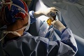 V Dubaji otvorili nemocnicu pre ťavy: Ten luxus môže slovenský pacient len závidieť