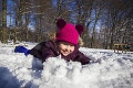 Štedrý deň je na Slovensku bez snehu už celé roky: Uhádnete, kedy sme ho mali naposledy?