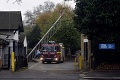 Londýnsku zoo zachvátili plamene: Návštevníkov čaká až do vyšetrenia príčin stopka!