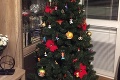 Lenke doma stojí rozprávkový vianočný stromček: Toto ste ešte nevideli visieť na žiadnom!