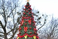 Má Humenné najškaredší vianočný stromček? Slováci sa z neho smejú, domáci ho bránia!