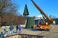 Má Humenné najškaredší vianočný stromček? Slováci sa z neho smejú, domáci ho bránia!