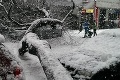 Liptov potrápil extrémne silný vietor a sneh: Popadané stromy a záveje