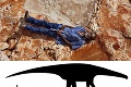Obrovský objav austrálskych paleontológov: Našli odtlačok najväčšieho dinosaura