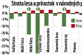 Máme problém! Zo Slovenska miznú stromy: Tatry prišli o tretinu lesov