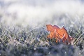 V Poprade namerali najchladnejší 2. december v histórii pozorovaní: Z tej rekordnej teploty vás strasie!