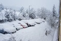 Sneh zakryl Slovensko, situácia je kritická: V Bratislave už majú aj JEHO!
