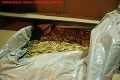 Colníci na východe Slovenska našli takmer 9-tonový kontraband: Čo skrývali kartónové škatule?