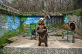 V Zoo Bratislava postavia medveďom obrovský výbeh: Nový priestor má však háčik, ktorý ovplyvní najmä návštevníkov