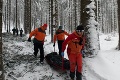 Tragédia na Hornej Orave: Na dvojicu lesných robotníkov spadol vyvrátený strom