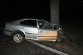 Šofér s osobným autom narazil do stromu, traja ľudia sú ťažko zranení!
