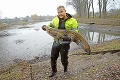 Rybári po 25 rokoch vylovili zanedbaný rybník v Devínskej Novej Vsi: To, čo objavili pod hladinou, vás zarazí!
