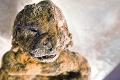 Jurský park sa stáva realitou: Chystá sa klon prehistorického tvora!