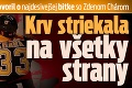 Český hokejista prehovoril o najdesivejšej bitke so Zdenom Chárom: Krv striekala na všetky strany