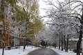 Na Slovensko prišla zima: Sledujte tie fotky zo zasneženého mesta!
