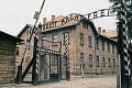 Výstava, aká tu ešte nebola: Pravdu o holokauste ukážu predmety z koncentračného tábora Auschwitz!