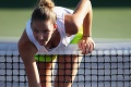 Sexi tréning českej tenistky Karolíny Plíškovej: Keď sa zohla pre loptičku, diváci boli vo vytržení