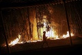 Lesné požiare zabili 39 ľudí, politici prišli so šokujúcim obvinením: Ohne v Portugalsku založili teroristi