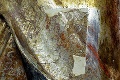 Vyšetrenie na CT odhalilo niečo nepoznané: Dielo Majstra Pavla v nových farbách