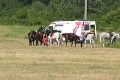 Dievča (15) spadlo z koňa, zranenú ratoval záchranársky vrtuľník