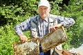 Cena medu stúpa, je však kvalitnejší: Ako vidí skúsený včelár tohtoročnú medovú sezónu?