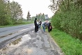 Šialené zábery z Liptova! Turisti stoja pri ceste, aby sa odfotili s medvedicou: Ani netušia, čo robia!