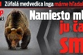 Zúfalá medvedica Inga márne hľadala svoje deti: Namiesto mláďať ju čakala smrť!