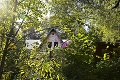 Záhada strašidelného domu v Štiavnických Baniach: Všetci odtiaľ ušli vystrašení na smrť