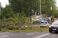 Na cestu v centre Popradu sa zrútil strom: Skutočný horor ale nastal potom!