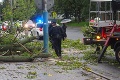 Na cestu v centre Popradu sa zrútil strom: Skutočný horor ale nastal potom!