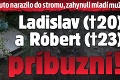 Na juhu Slovenska auto narazilo do stromu, zahynuli mladí muži: Ladislav († 20) a Róbert († 23) boli príbuzní!